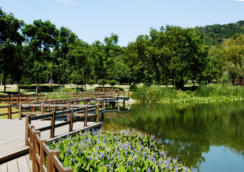 馬鞍山森林公園拓展基地